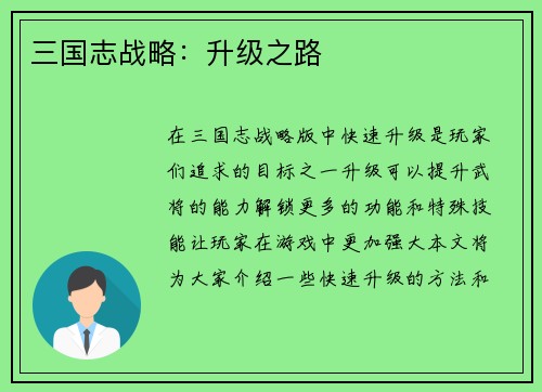 三国志战略：升级之路